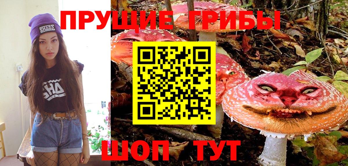 Псилоцибиновые грибы MAGIC MUSHROOMS Ачхой-Мартан